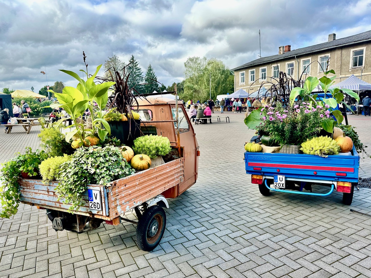 FOTOD JA VIDEO 101 protsenti parim Ape laat, kust võis osta ka kuke